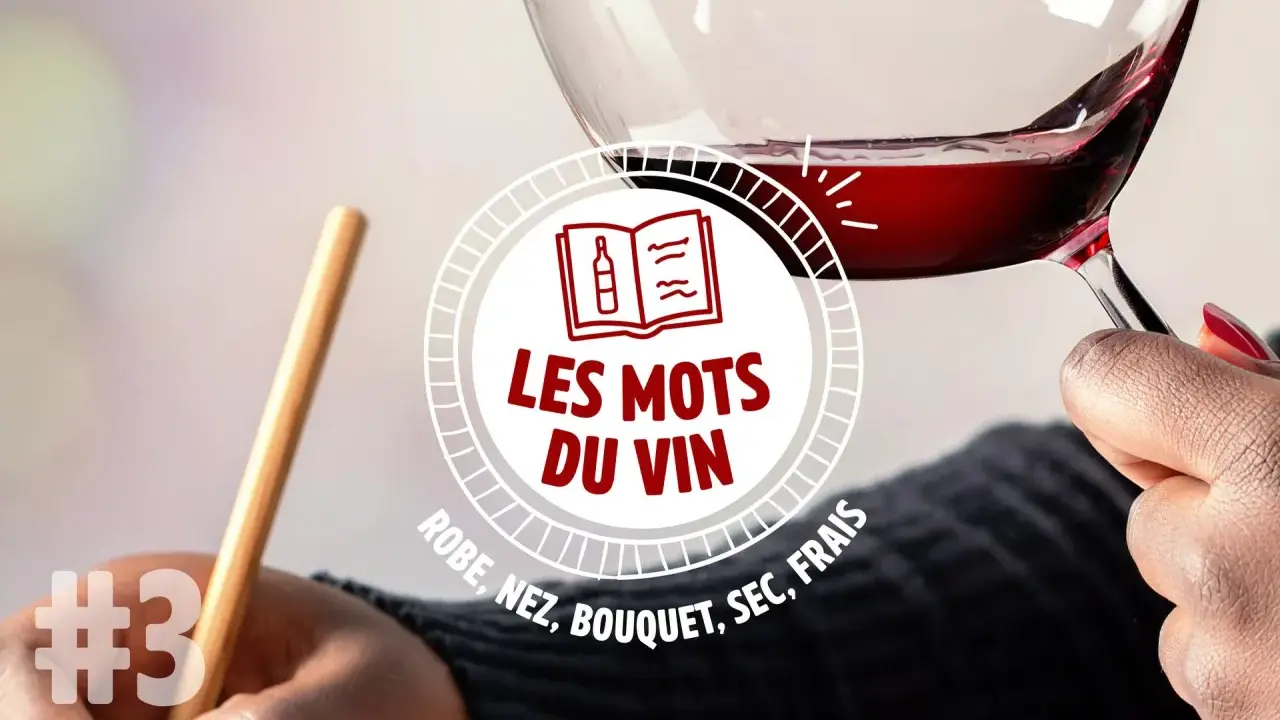 Un verre de vin à la couleur vin rouge intense, tenu par une main. Le texte "Les mots du vin" et des termes comme "robe, nez, bouquet" sont visibles.