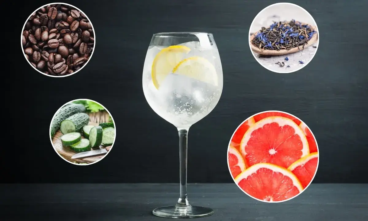 Un verre de gin tonic avec des rondelles de citron, entouré de grains de café, de concombre, de thé et de pamplemousse. Des idées pour savoir avec quoi boire du gin.