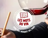 Un verre de vin à la couleur vin rouge intense, tenu par une main. Le texte "Les mots du vin" et des termes comme "robe, nez, bouquet" sont visibles.