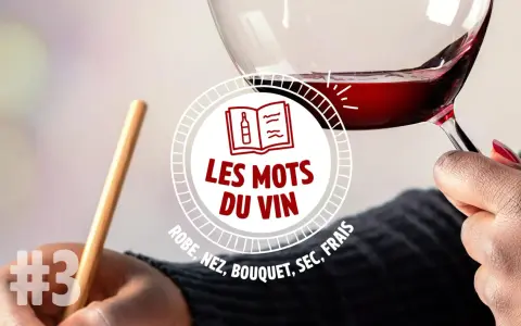 Un verre de vin à la couleur vin rouge intense, tenu par une main. Le texte "Les mots du vin" et des termes comme "robe, nez, bouquet" sont visibles.