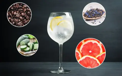 Un verre de gin tonic avec des rondelles de citron, entouré de grains de café, de concombre, de thé et de pamplemousse. Des idées pour savoir avec quoi boire du gin.