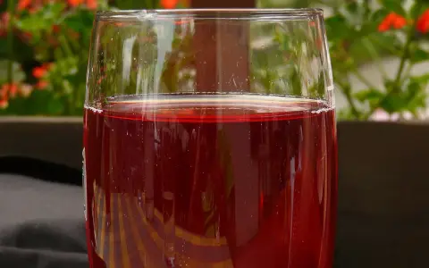 Verre de jus de raisin rouge, pétillant, avec des fleurs rouges en arrière-plan. Parfait pour faire du jus de raisin maison.
