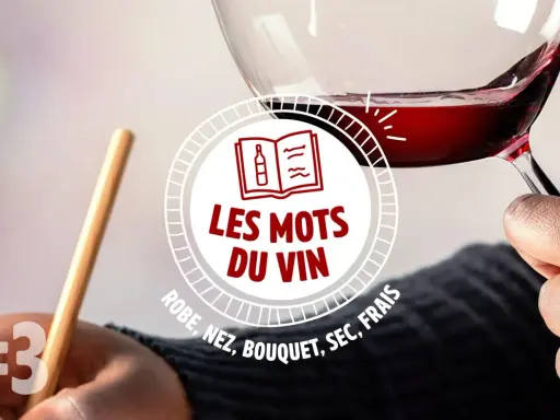 Un verre de vin à la couleur vin rouge intense, tenu par une main. Le texte "Les mots du vin" et des termes comme "robe, nez, bouquet" sont visibles.