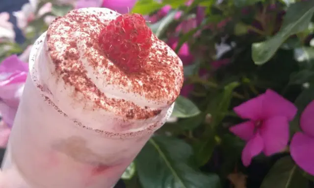 Un tiramisu framboise rapide et facile, garni d'une framboise fraîche et de cacao, avec des fleurs roses en arrière-plan.