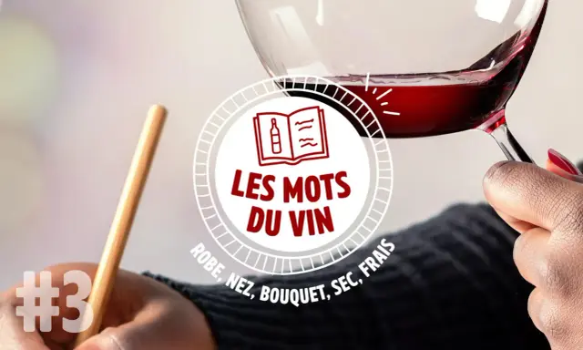 Un verre de vin à la couleur vin rouge intense, tenu par une main. Le texte "Les mots du vin" et des termes comme "robe, nez, bouquet" sont visibles.