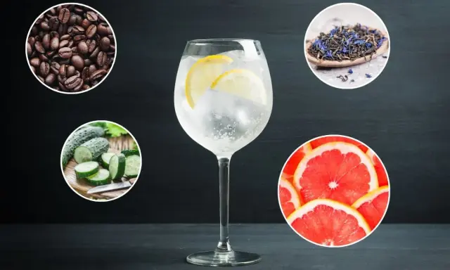 Un verre de gin tonic avec des rondelles de citron, entouré de grains de café, de concombre, de thé et de pamplemousse. Des idées pour savoir avec quoi boire du gin.