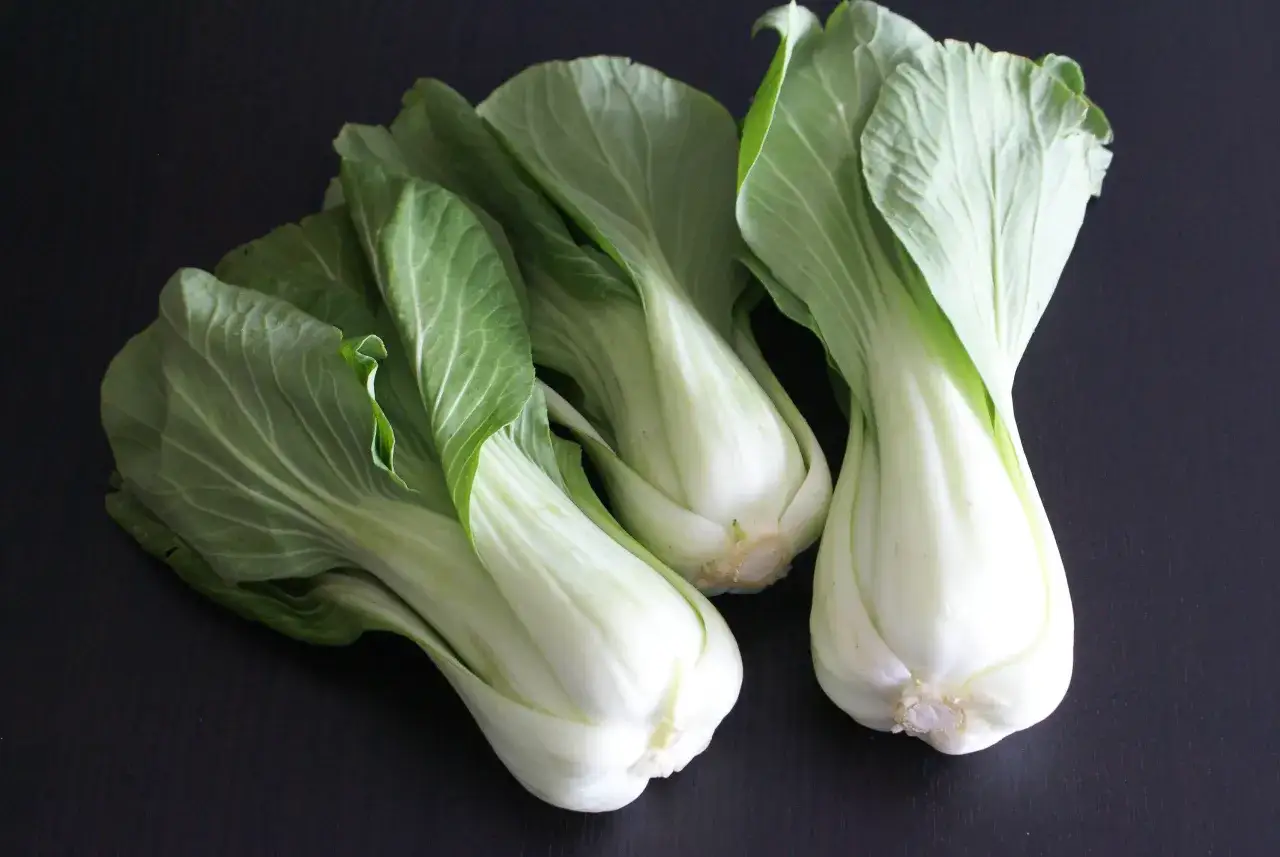 Trois beaux pak choi crus, aux feuilles vertes vives et aux tiges blanches croquantes, prêts à être cuisinés.