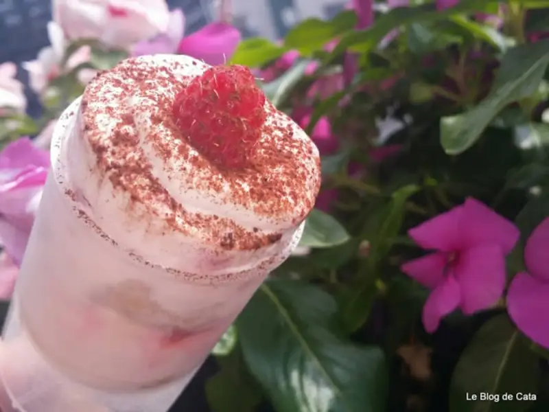 Un tiramisu framboise rapide et facile, garni d'une framboise fraîche et de cacao, avec des fleurs roses en arrière-plan.