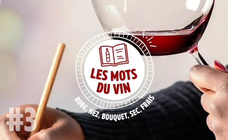Un verre de vin à la couleur vin rouge intense, tenu par une main. Le texte "Les mots du vin" et des termes comme "robe, nez, bouquet" sont visibles.
